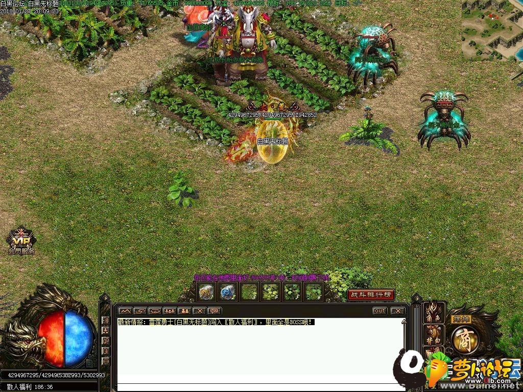 11.jpg
