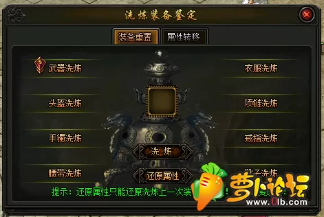 5.webp