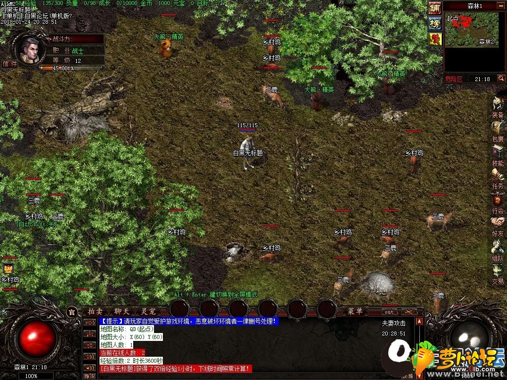 3.jpg
