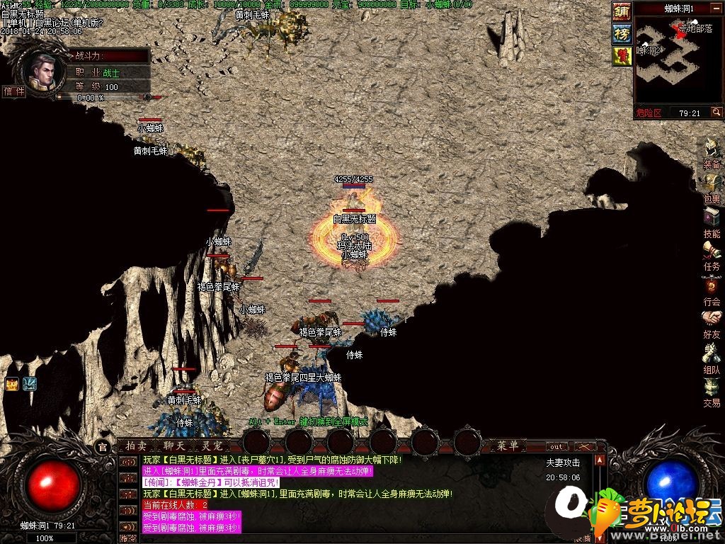 21.jpg