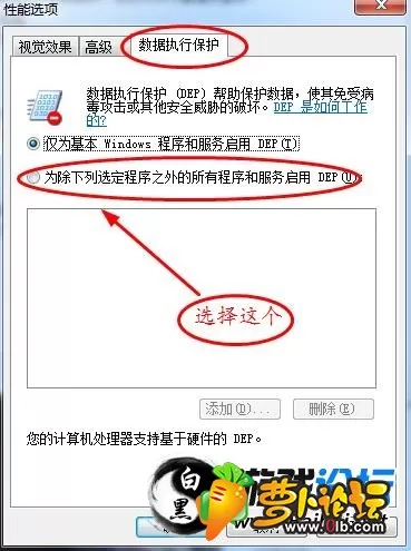 4.webp