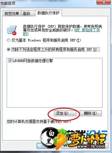 5.webp