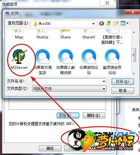 6.webp
