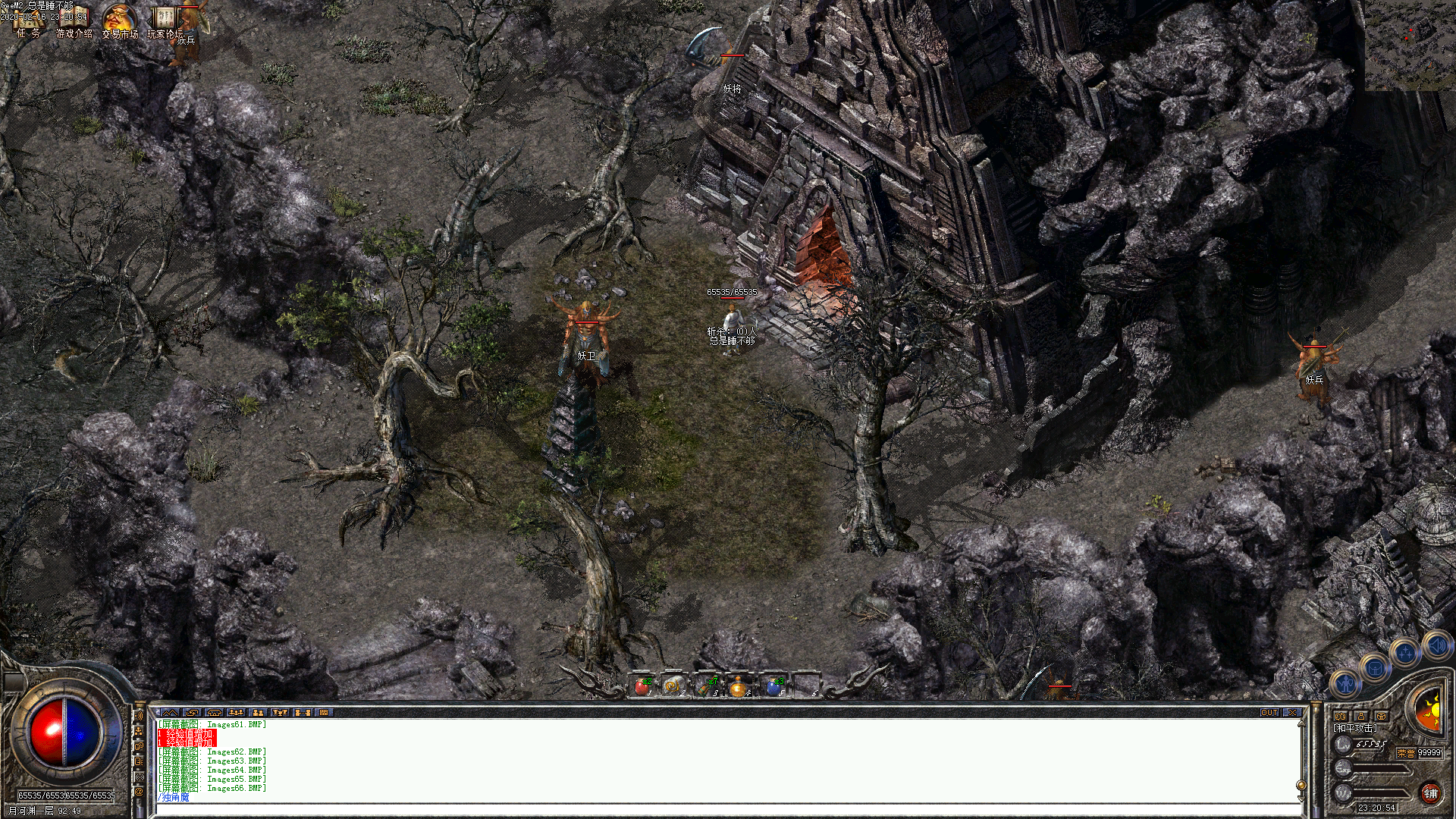 Images67.BMP