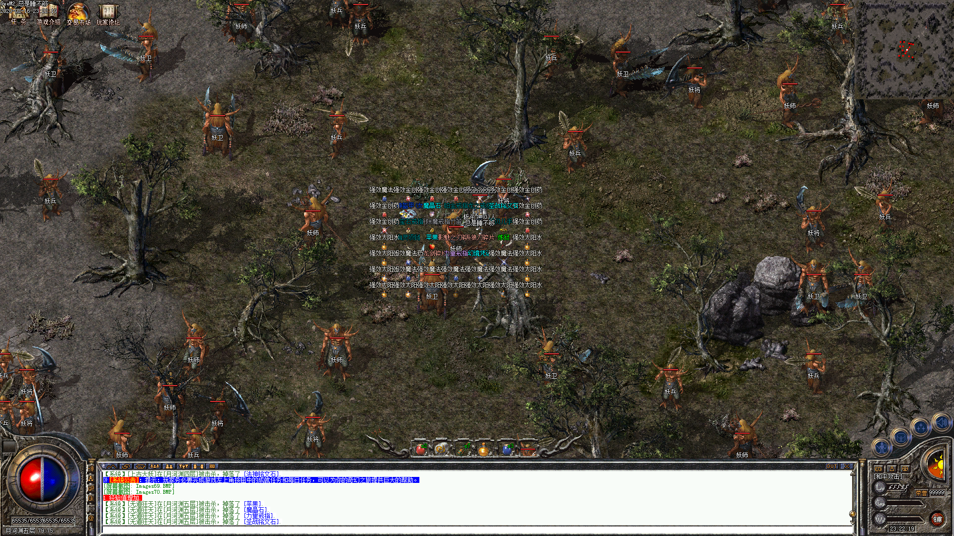Images71.BMP