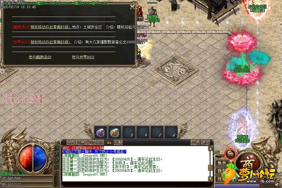 Images02.webp