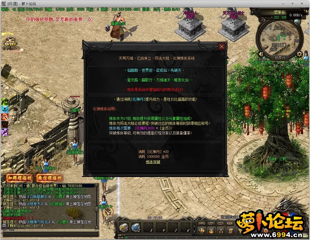 13.webp