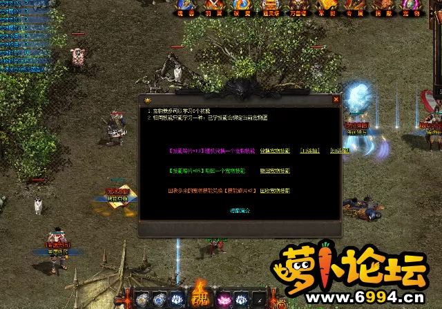 9.webp
