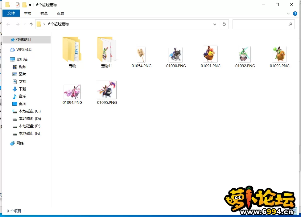 6新宠.webp