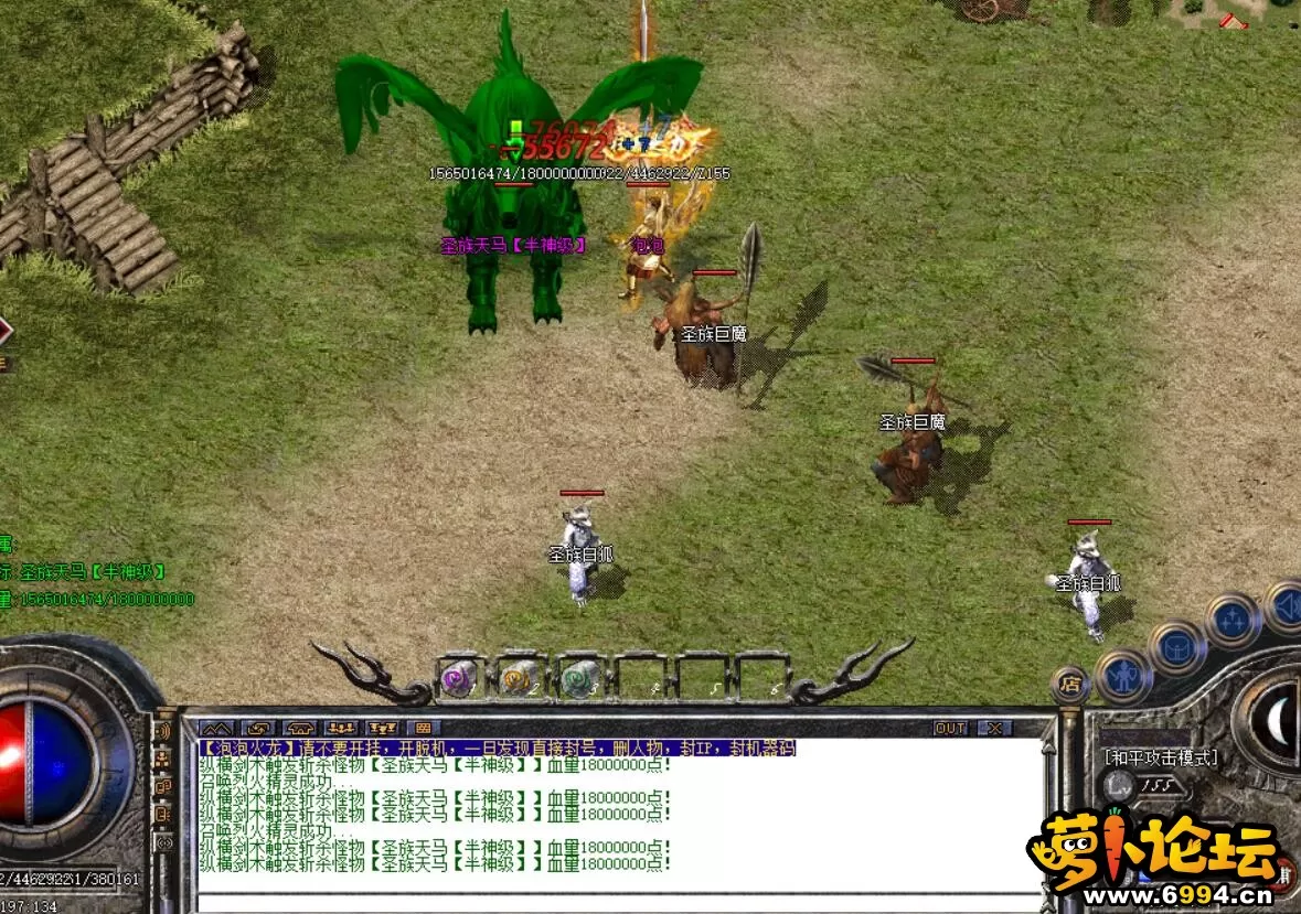 8.webp