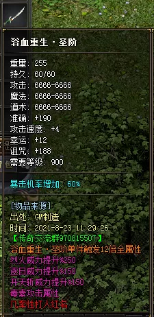 13.webp