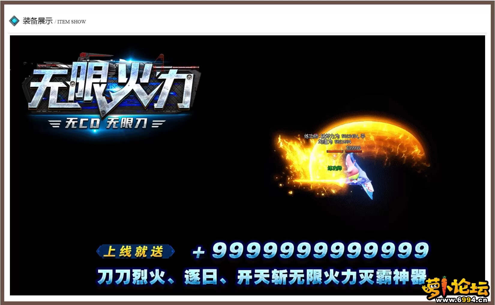 5.webp