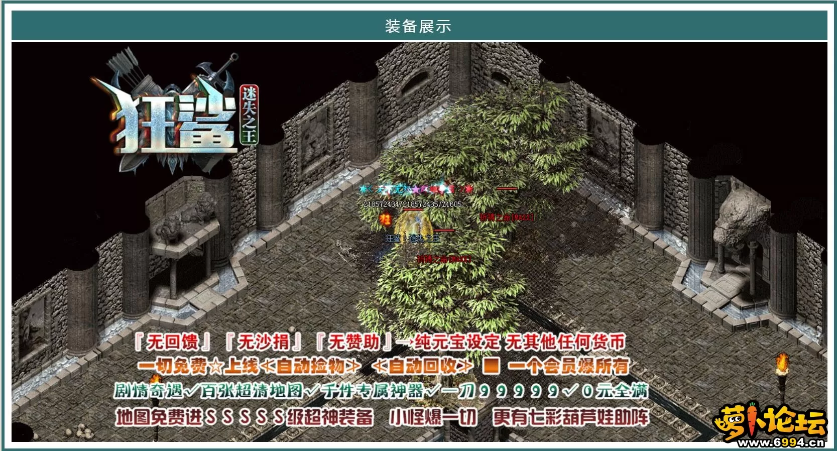 13.webp