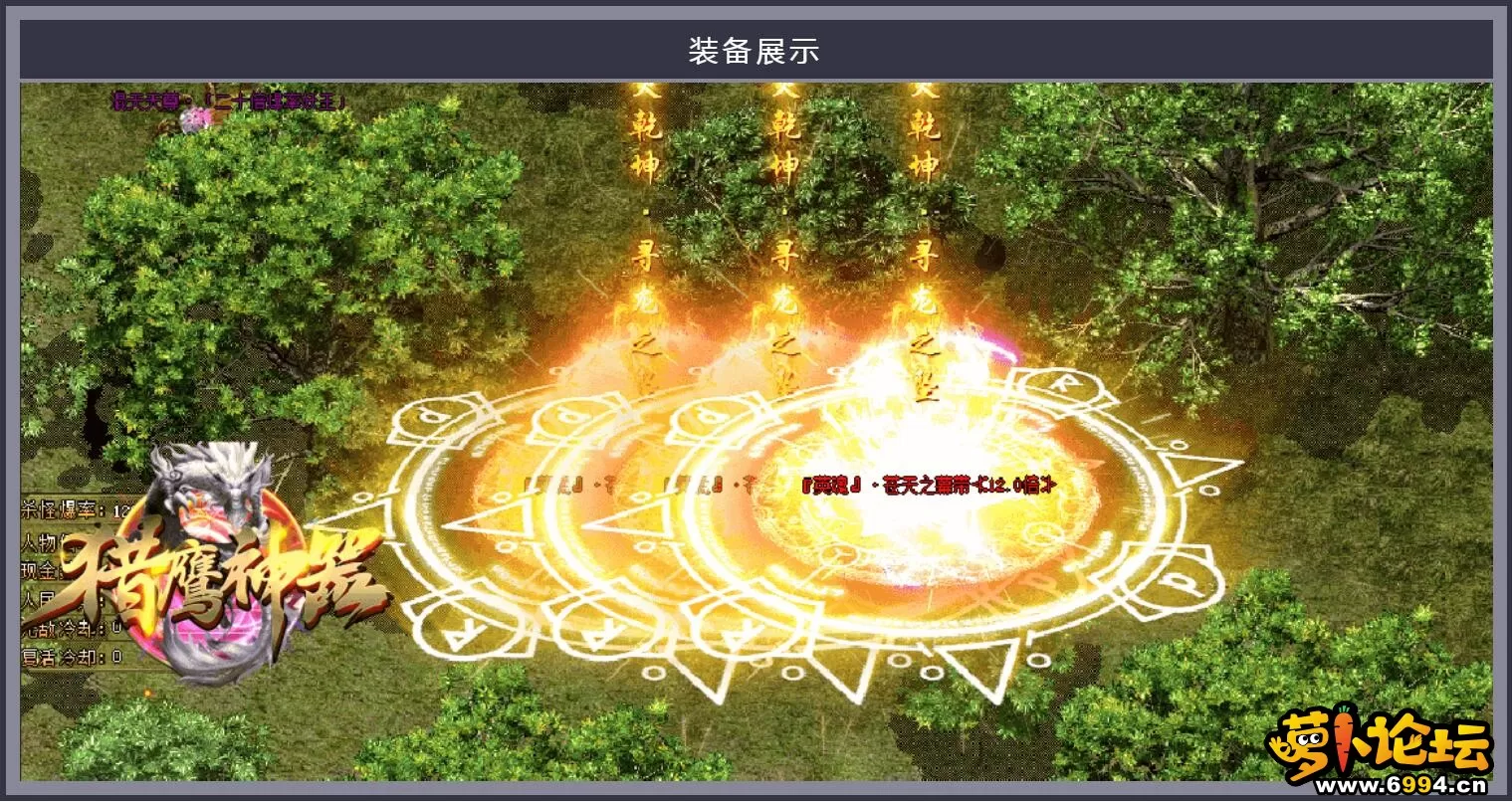 15.webp