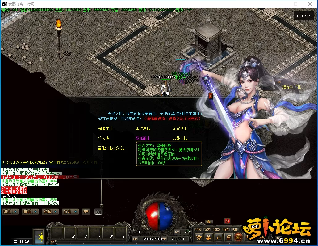 副职业-圣光骑士.webp