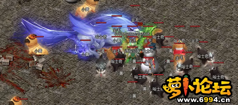 QQ截图20220310060138.webp