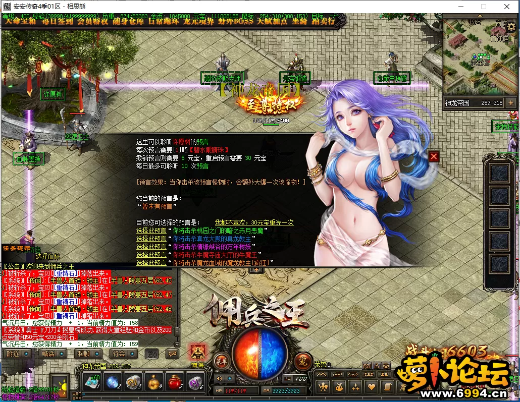 17.webp