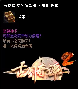 16.webp