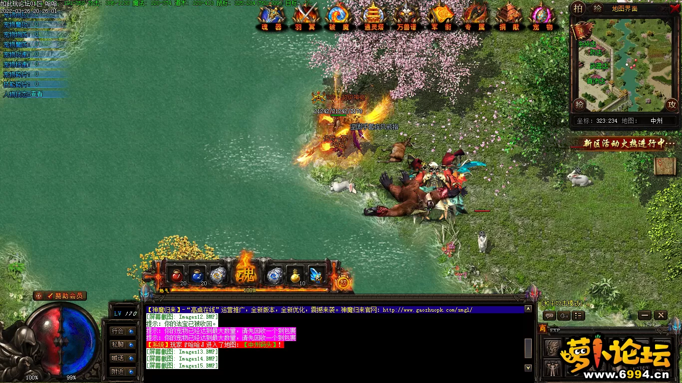Images16_看图王.webp