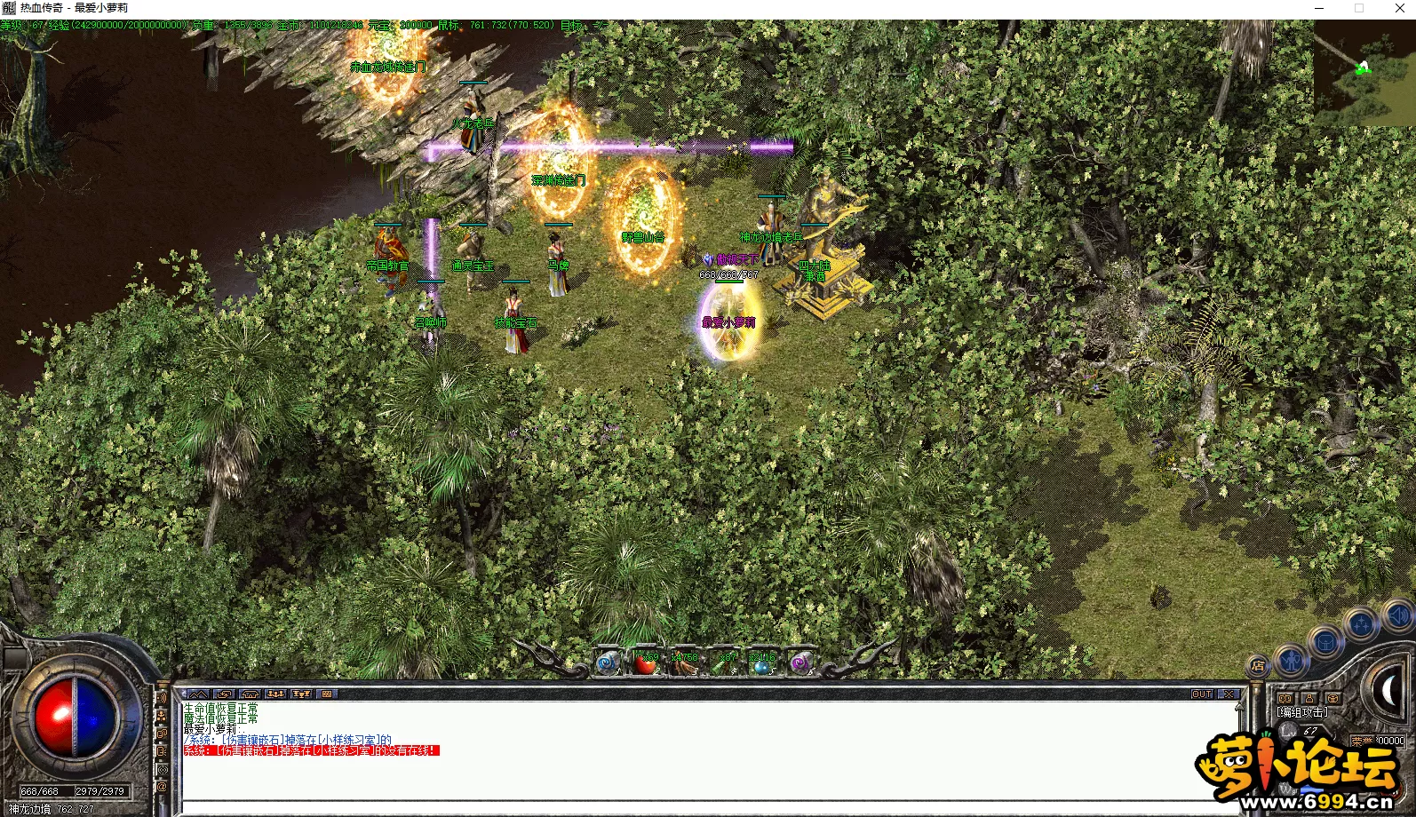 5.webp