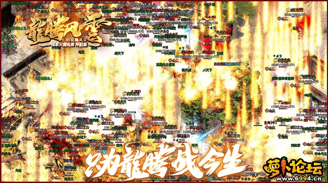 image.webp