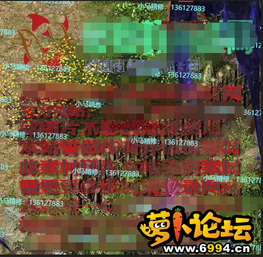 5.webp