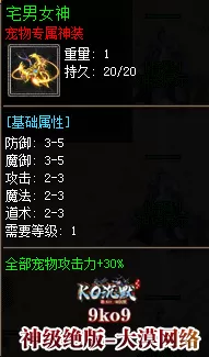 5.webp