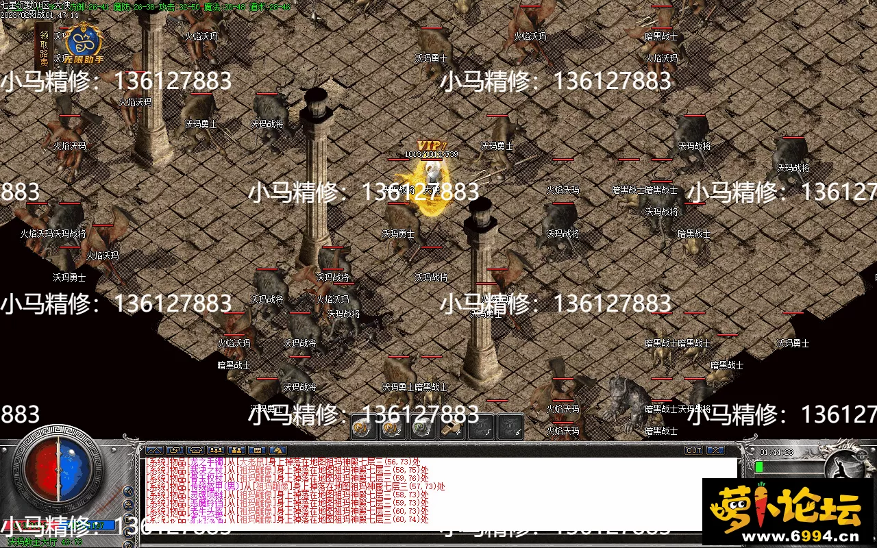 Images47.webp