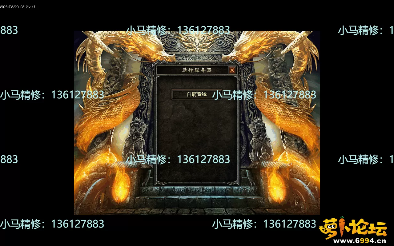 9.webp