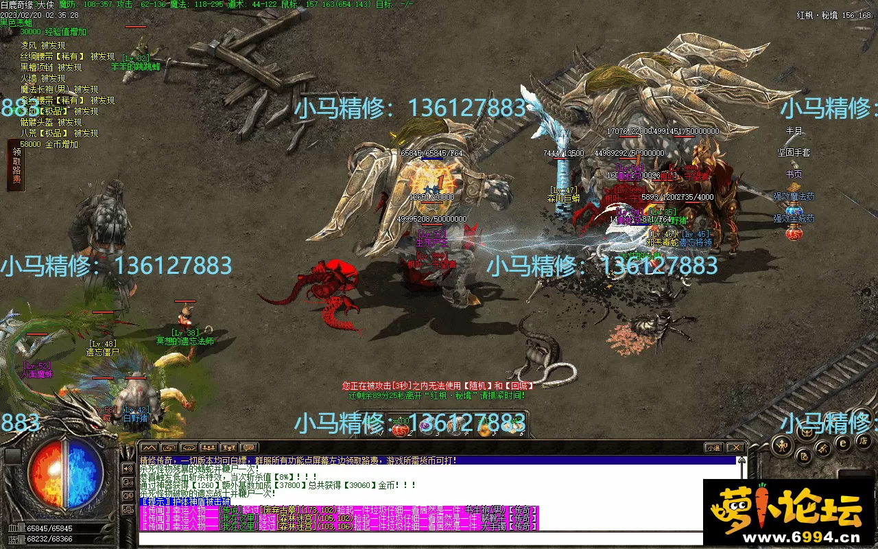 Images29.webp