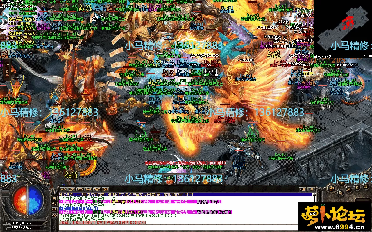 Images31.webp