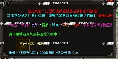 8.webp