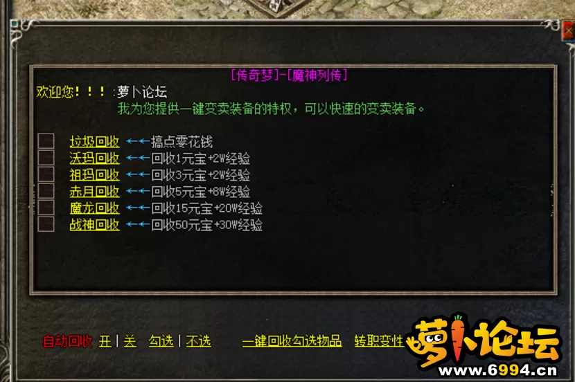 11.webp