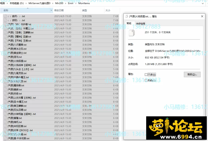 5.webp