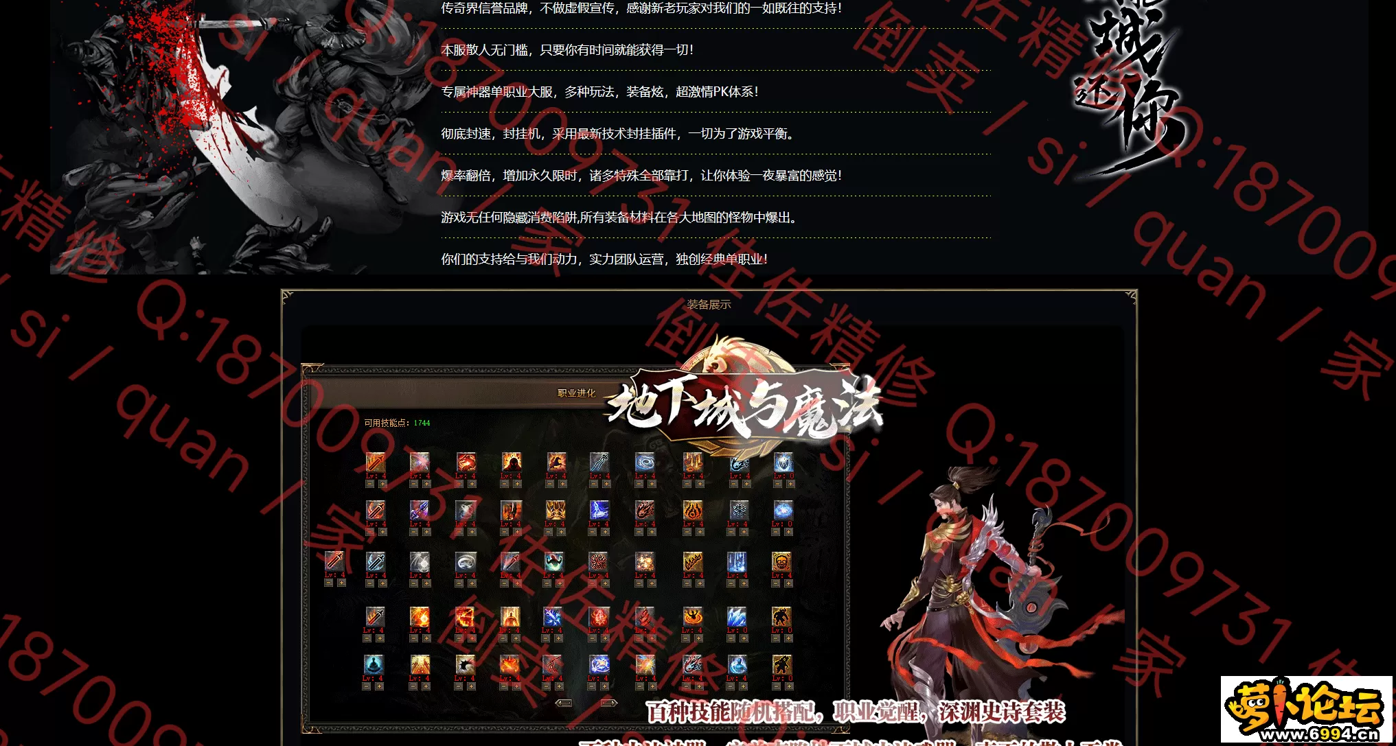 网站2.webp
