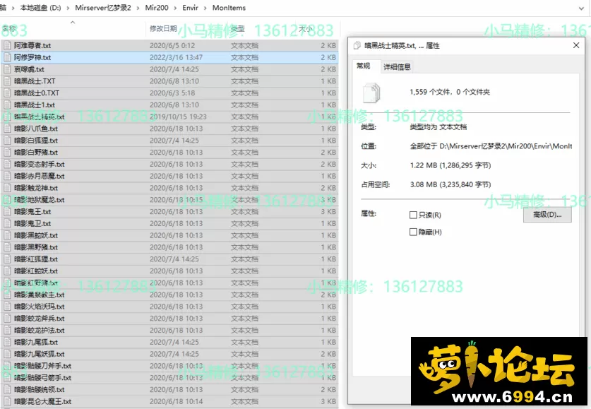 5.webp