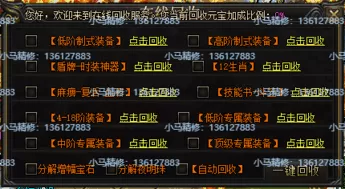 17.webp