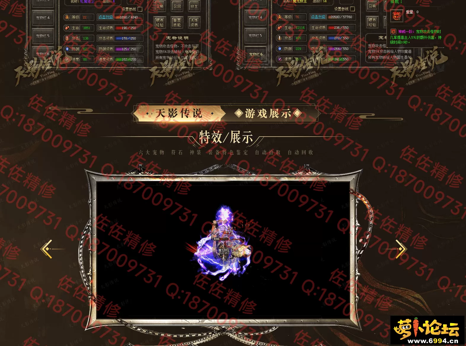 网站3.webp