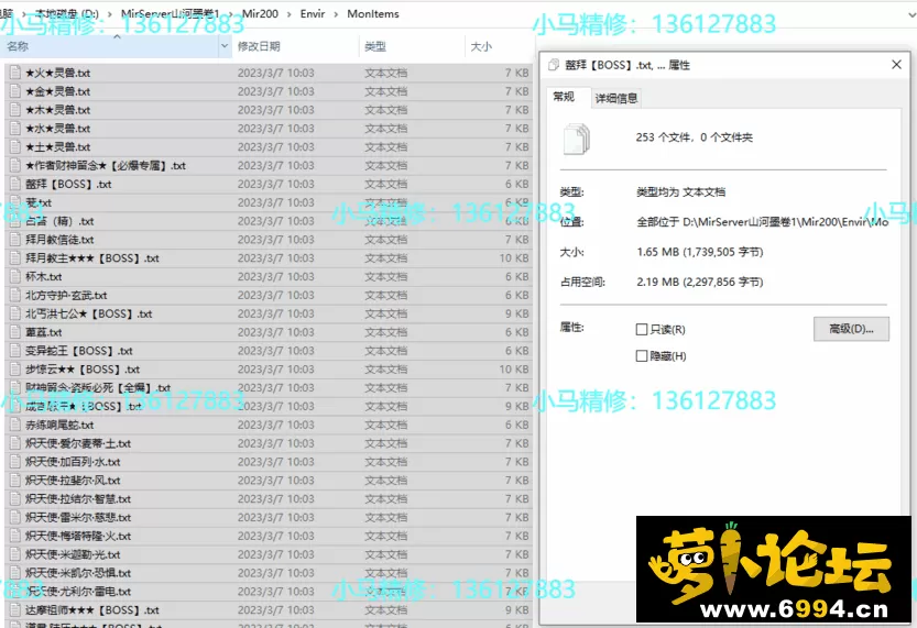 5.webp