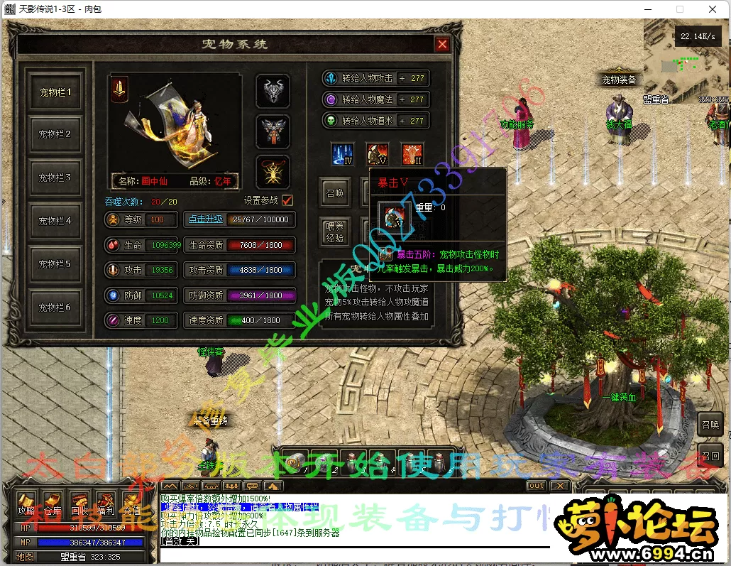 11.webp
