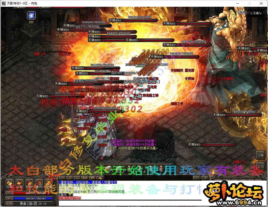 13.webp