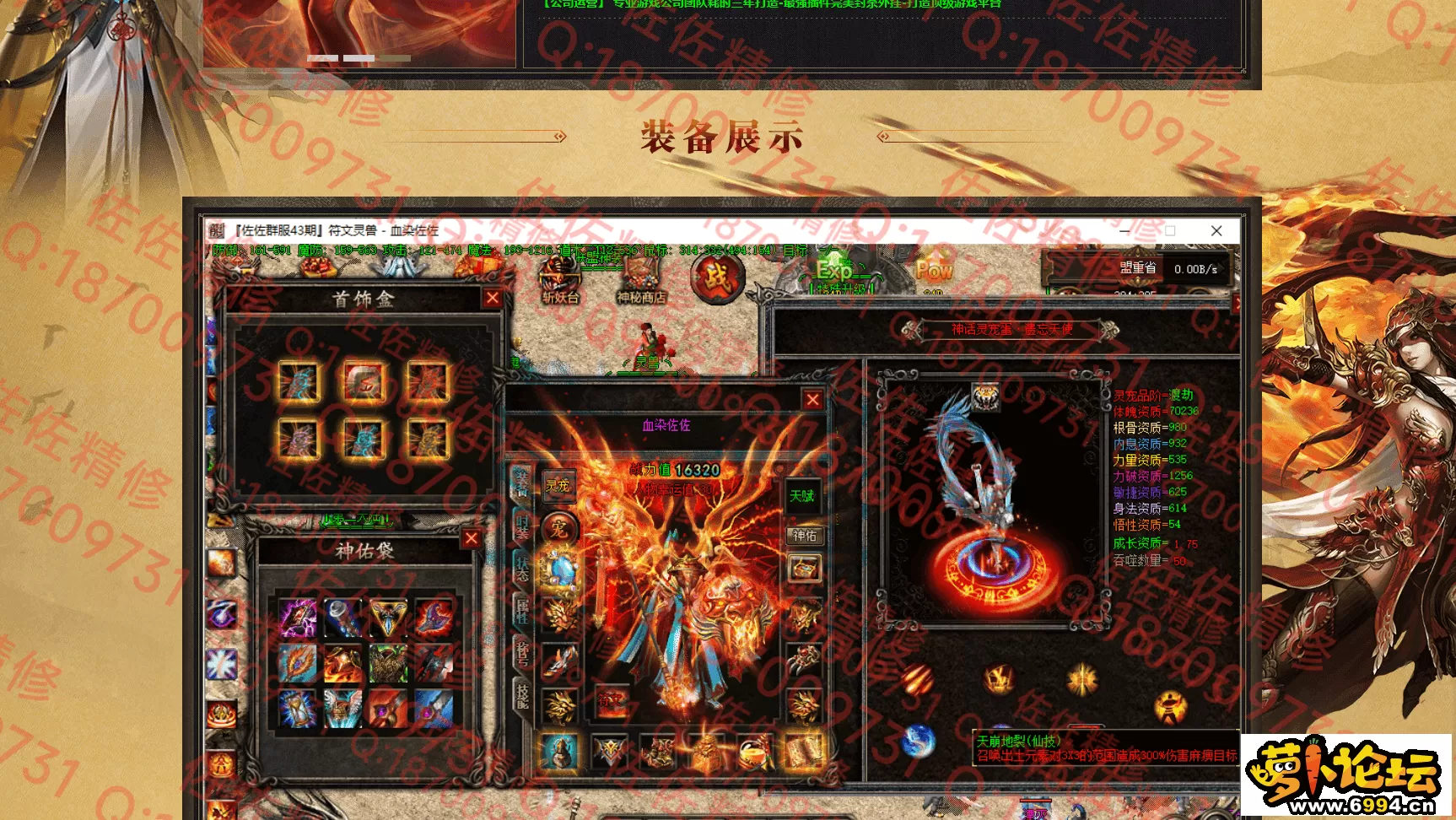 网站2.webp