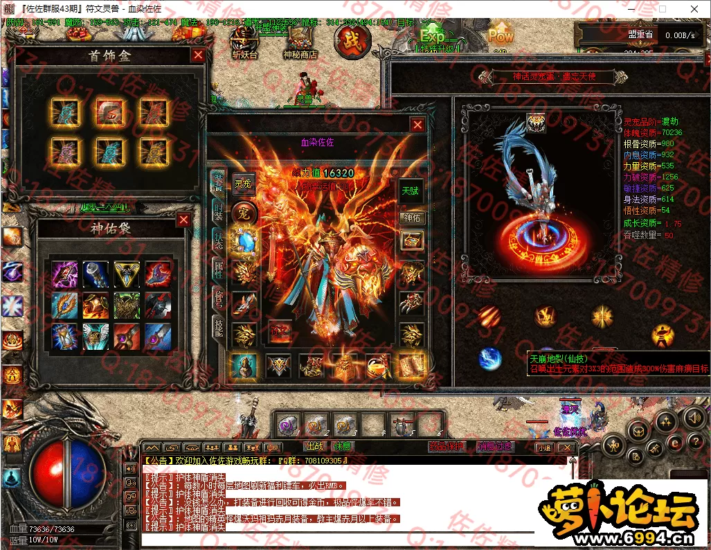 38.webp