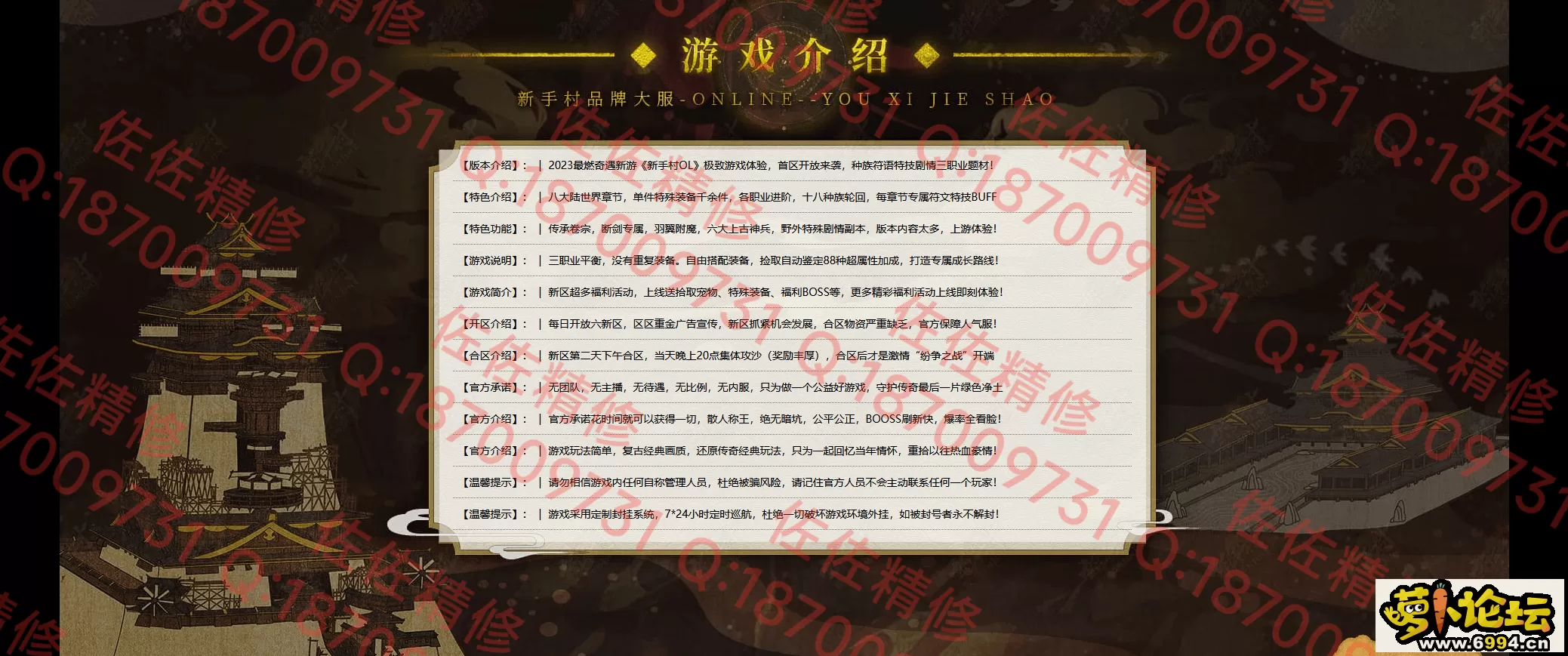 网站2.webp
