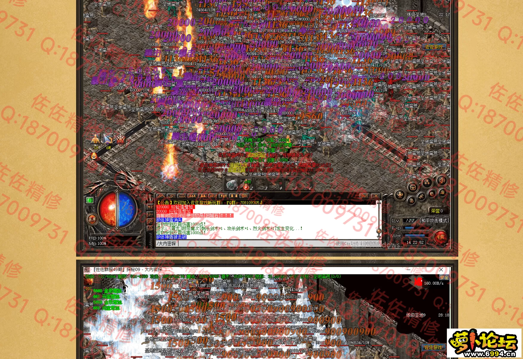 网站4.webp