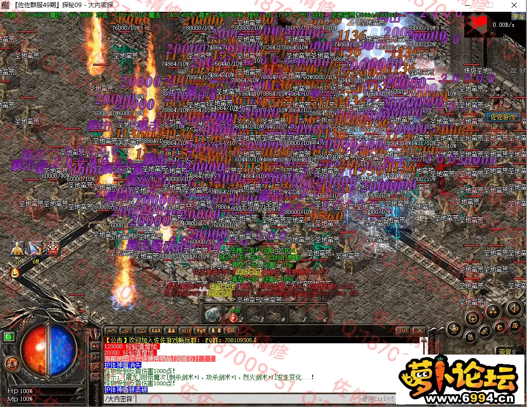 35.webp