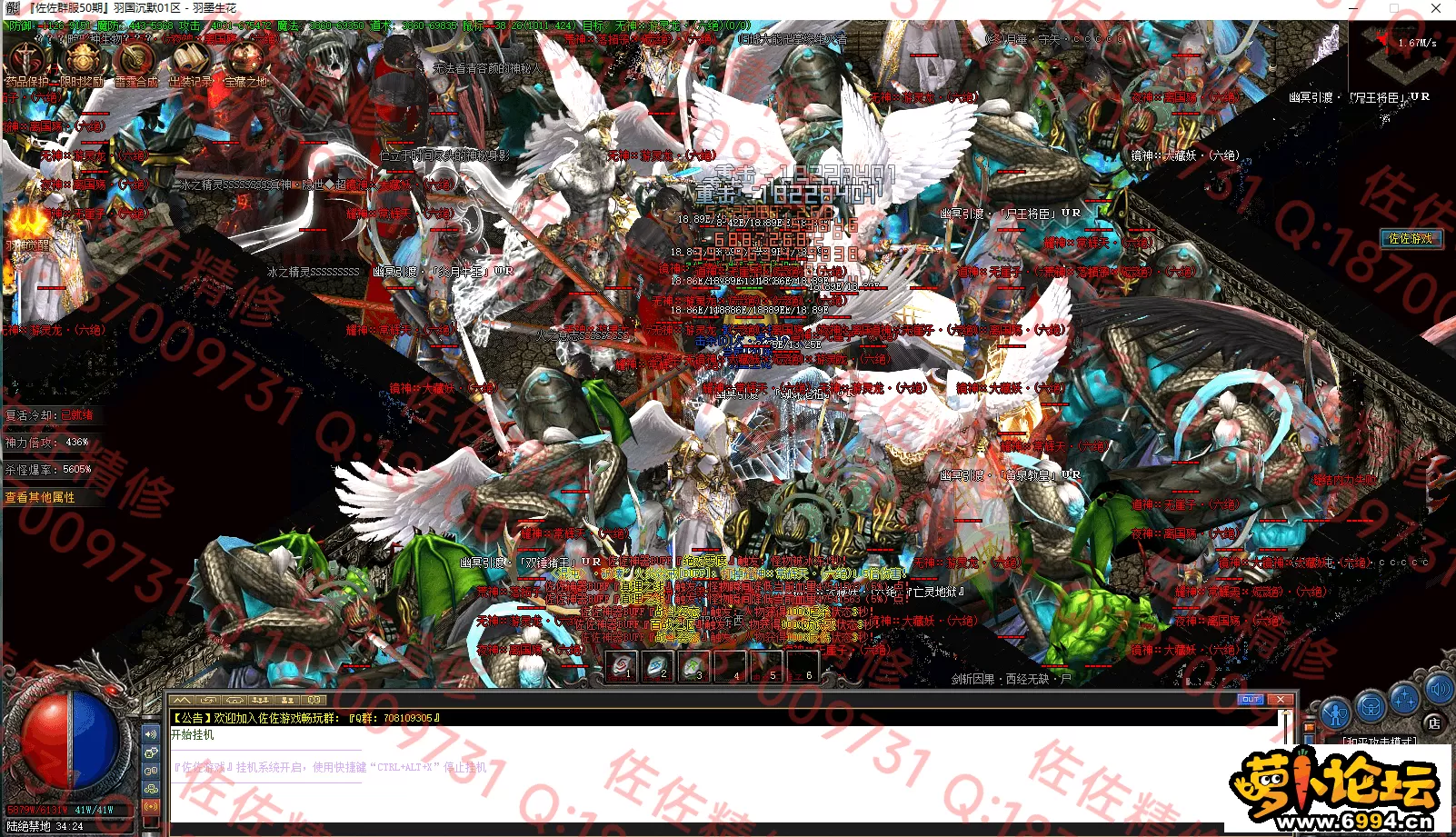 19.webp
