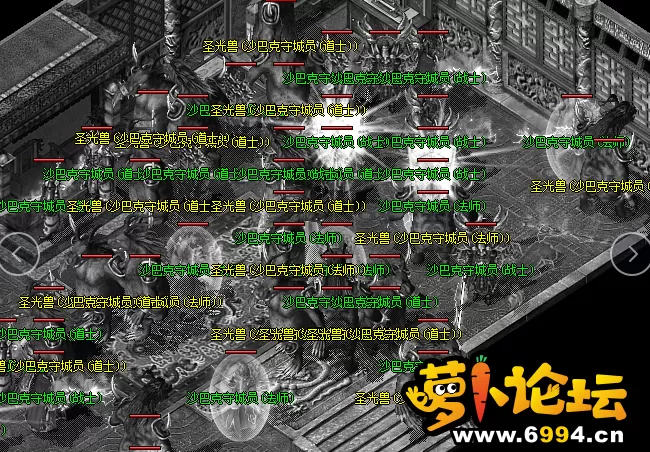 17.webp