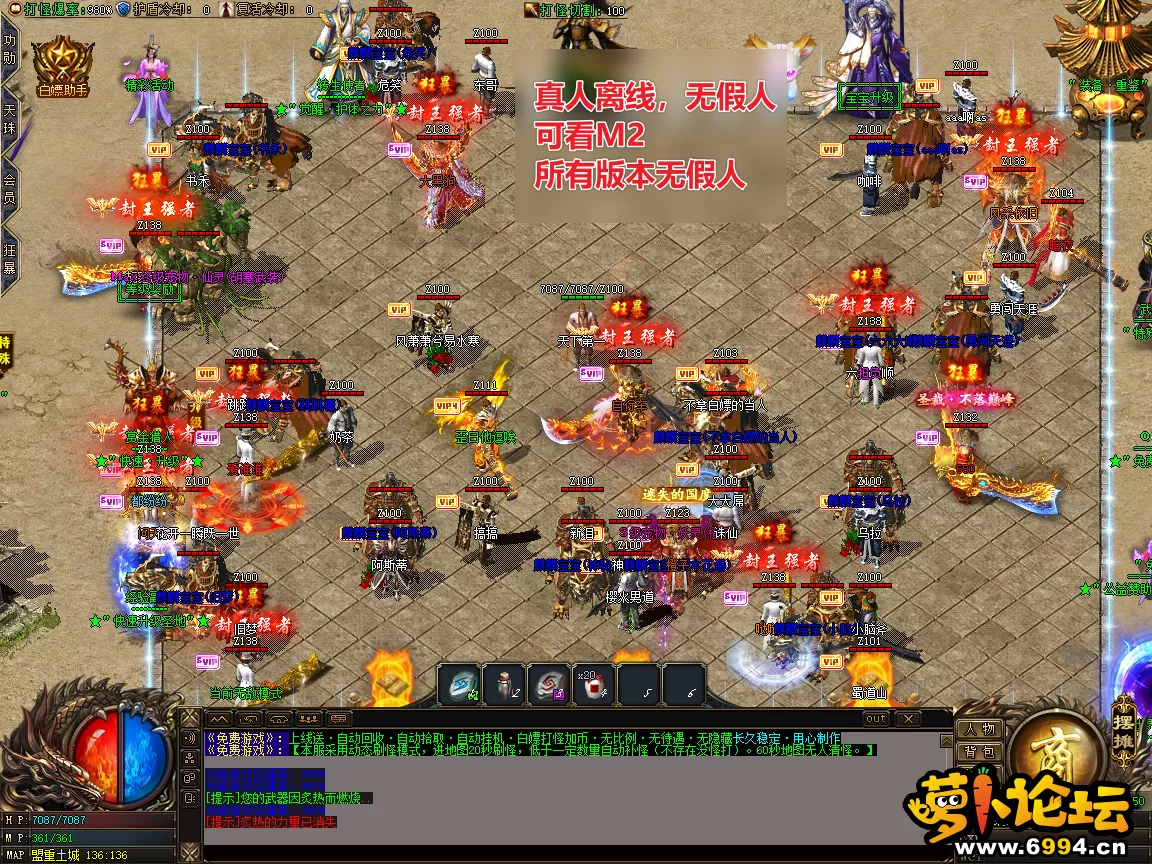 15.webp