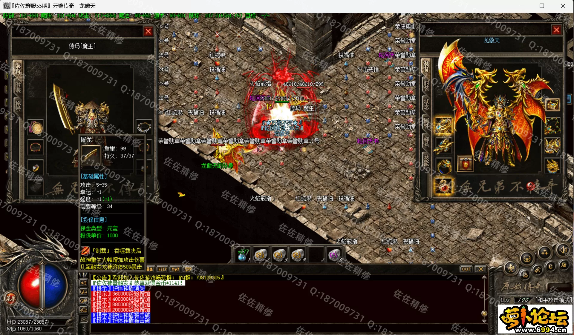 29.webp